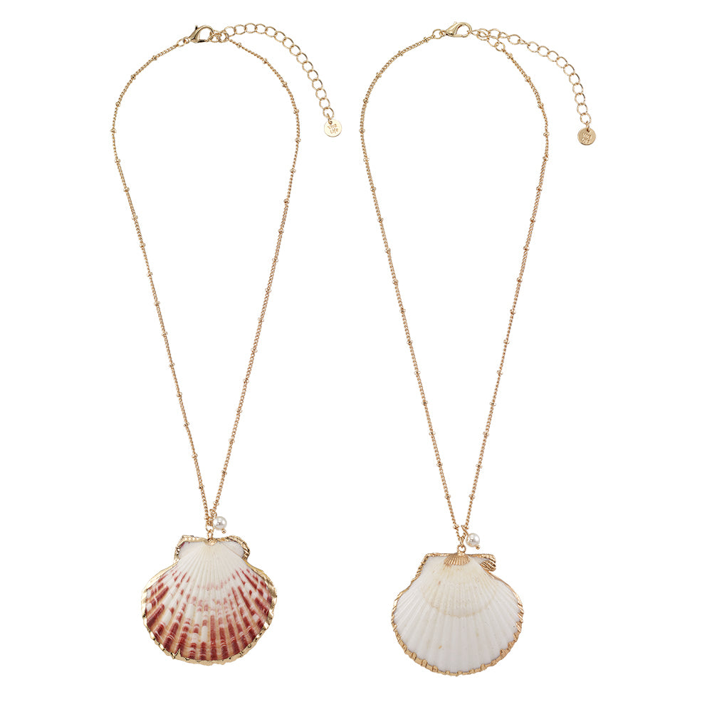 Large Clam Shell Pearl Chain 16″ Necklace