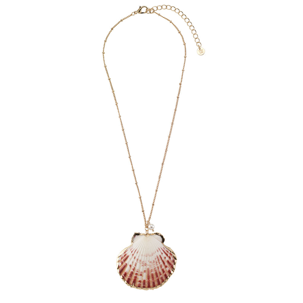 Large Clam Shell Pearl Chain 16″ Necklace