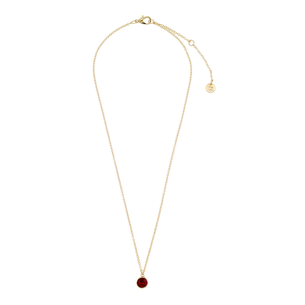 January Garnet Birthstone Necklace