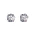 Sand Dollar Stud Earrings