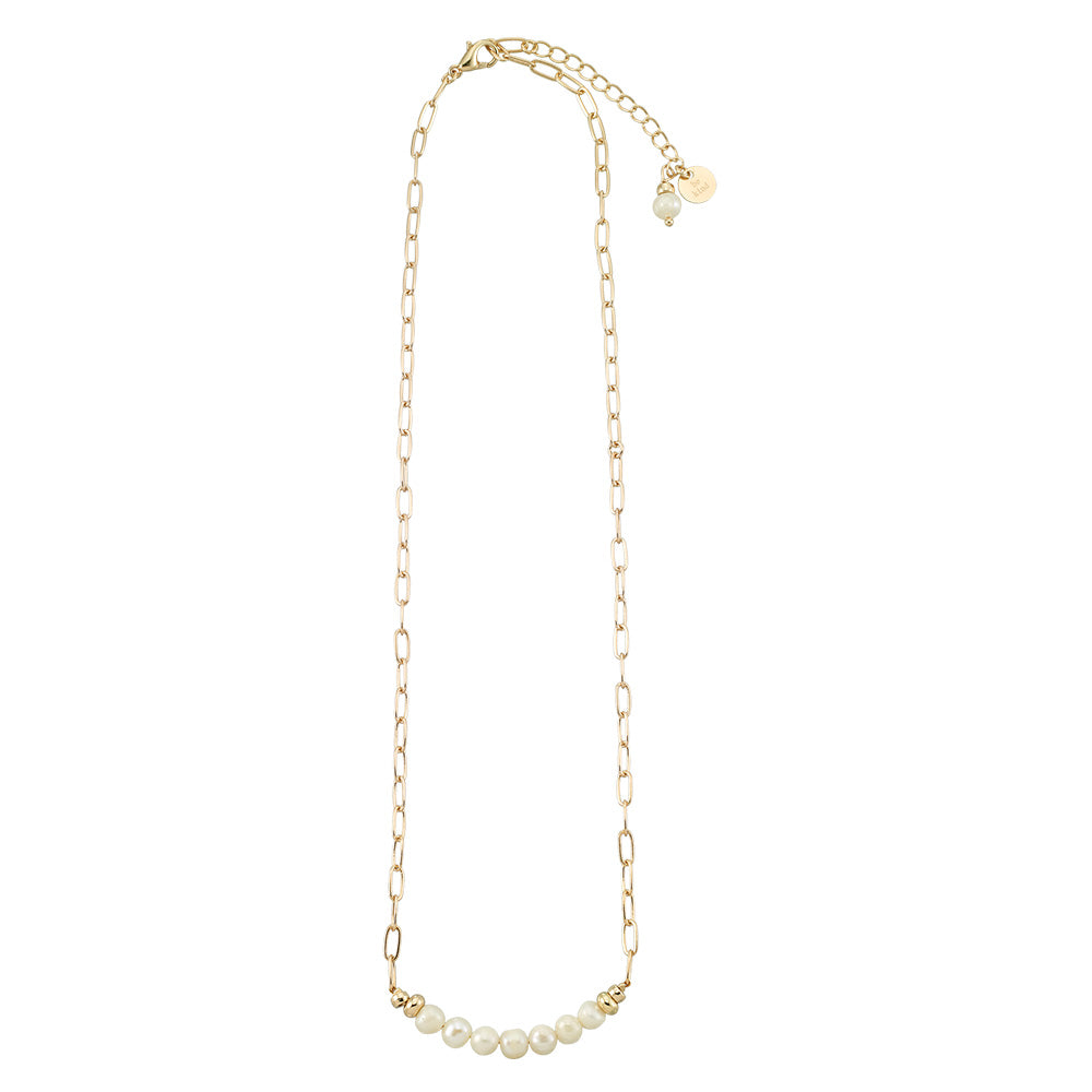 Fresh Water Pearl Paperclip Chain Necklace