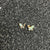 Gold Butterfly Stud Earrings